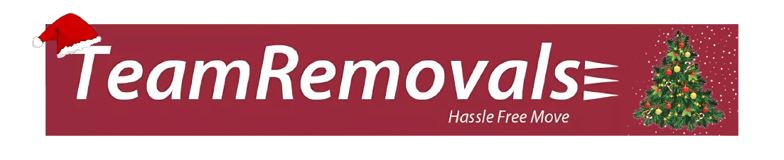 Team Removals Logo