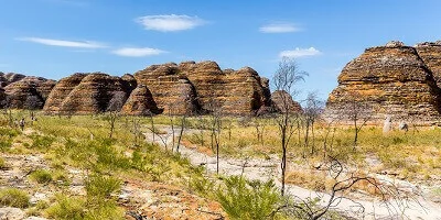 Removalists North Western