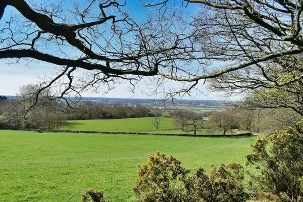 Removalists Darling Downs