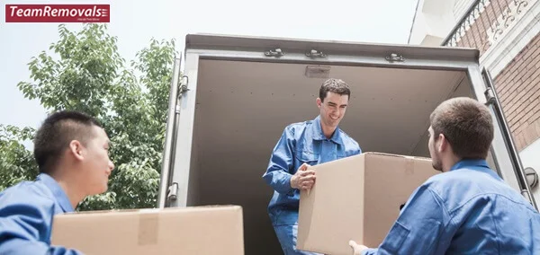 Fast same-day removal service in action