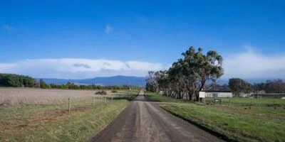 Removalists Northern