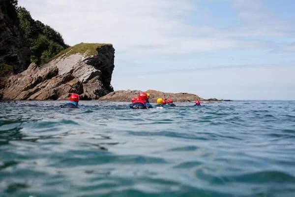 Removalists South West