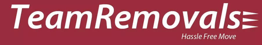 team removals logo